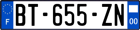 BT-655-ZN