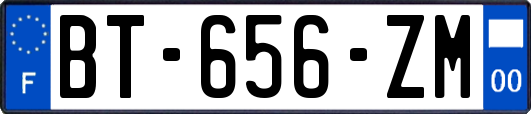 BT-656-ZM