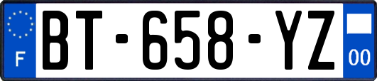 BT-658-YZ