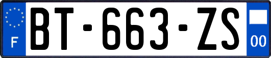 BT-663-ZS