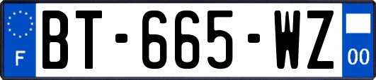 BT-665-WZ