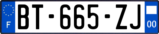 BT-665-ZJ