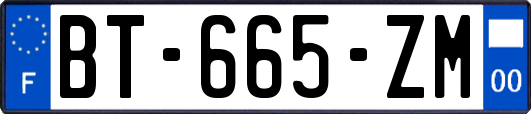 BT-665-ZM