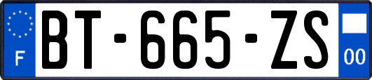 BT-665-ZS