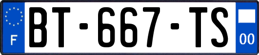 BT-667-TS