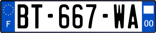 BT-667-WA