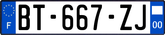 BT-667-ZJ