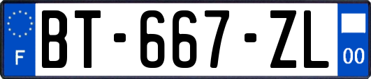 BT-667-ZL