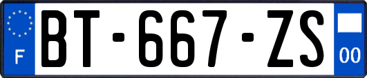 BT-667-ZS