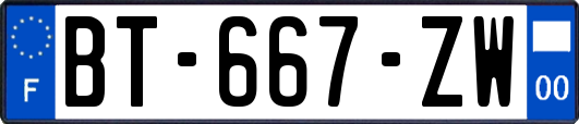 BT-667-ZW