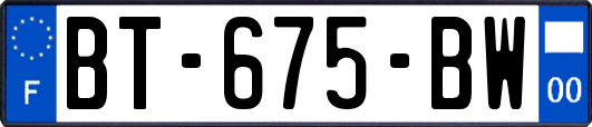 BT-675-BW