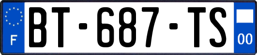 BT-687-TS