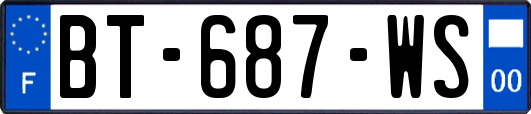 BT-687-WS