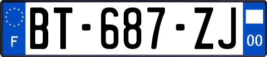 BT-687-ZJ