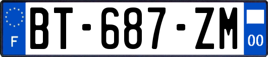 BT-687-ZM