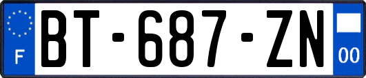 BT-687-ZN