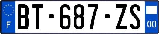 BT-687-ZS