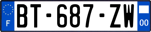 BT-687-ZW