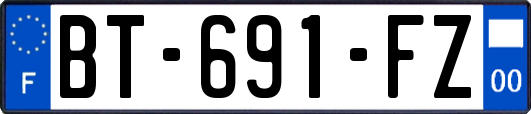 BT-691-FZ