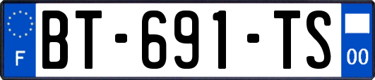 BT-691-TS