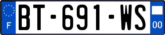 BT-691-WS