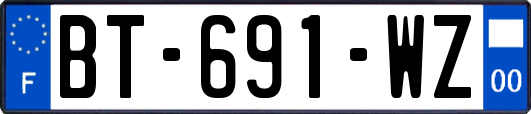 BT-691-WZ