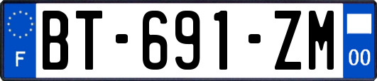 BT-691-ZM