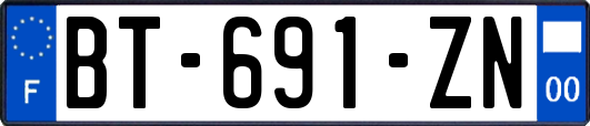 BT-691-ZN