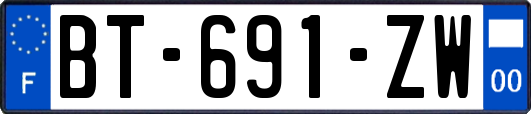 BT-691-ZW