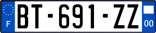 BT-691-ZZ