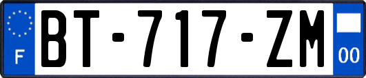 BT-717-ZM