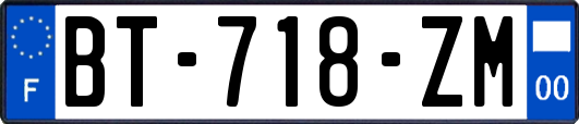 BT-718-ZM