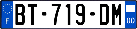 BT-719-DM
