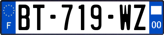 BT-719-WZ