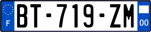 BT-719-ZM