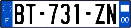 BT-731-ZN