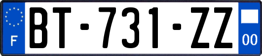 BT-731-ZZ