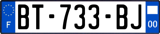 BT-733-BJ