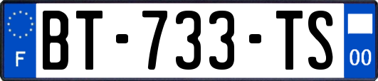 BT-733-TS