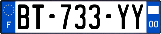 BT-733-YY