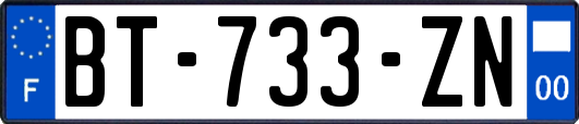 BT-733-ZN
