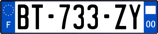 BT-733-ZY