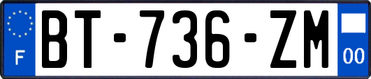 BT-736-ZM