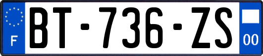 BT-736-ZS