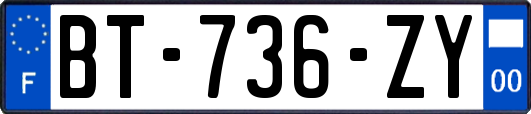 BT-736-ZY