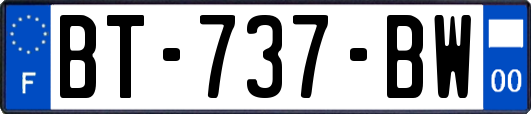 BT-737-BW