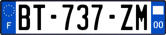 BT-737-ZM