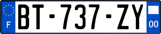 BT-737-ZY