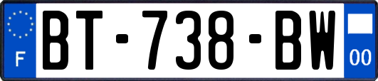 BT-738-BW