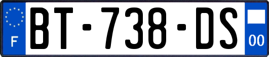 BT-738-DS